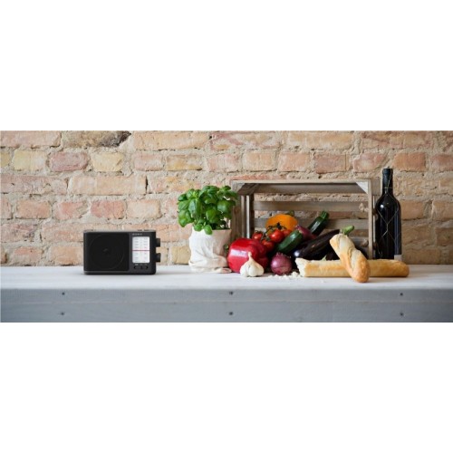 ΡΑΔΙΟΦΩΝΟ SONY ICF506.CED